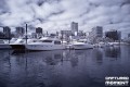 portland ir 3